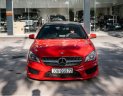 Mercedes-Benz CLA 250 2016 - Xe đẹp, 1 chủ từ đầu, nội thất mới