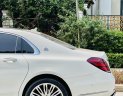 Mercedes-Benz Maybach S450 2020 - Tên công ty xuất hoá đơn cao