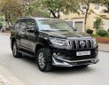 Toyota Land Cruiser Prado 2019 - Biển Hà Nội