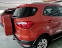 Ford EcoSport 2016 - Xe chính chủ