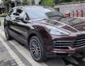 Porsche Cayenne 2019 - Xe nhà trùm màn