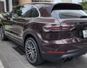 Porsche Cayenne 2019 - Xe nhà trùm màn