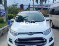 Ford EcoSport CẦN TIỀN BÁN GẤP XE TÂM HUYẾT 4,5 VẠN, BAO TEST 2016 - CẦN TIỀN BÁN GẤP XE TÂM HUYẾT 4,5 VẠN, BAO TEST
