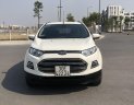 Ford EcoSport 2017 - Xe màu trắng