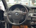 BMW 520i 2014 - Màu cát cháy, lên nhiều options, đẳng cấp sang trọng và thể thao