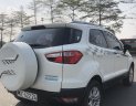 Ford EcoSport 2017 - Xe màu trắng