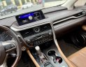 Lexus RX 350 2019 - Màu trắng nội thất nâu da bò sang trọng và đẳng cấp
