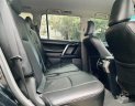 Toyota Land Cruiser Prado 2010 - Toyota Land Cruiser Prado 2010