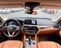 BMW 530i 2019 - Đăng cấp sang trọng và thể thao