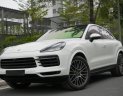 Porsche Cayenne 2021 - Full option không thiếu thứ gì