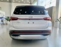 Hyundai Santa Fe 2023 - Hyundai Santa Fe 2023 tại Tp.HCM