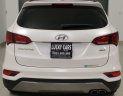 Hyundai Santa Fe 2016 - Mẫu SUV trẻ trung, khỏe khoắn