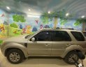 Ford Escape 2010 - Xe gia đình đi ít