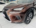 Lexus NX 300 2019 - Nhập khẩu Nhật Bản - Sang trọng - Đẳng cấp