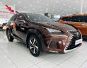 Lexus NX 300 2019 - Nhập khẩu Nhật Bản - Sang trọng - Đẳng cấp