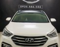 Hyundai Santa Fe 2016 - Mẫu SUV trẻ trung, khỏe khoắn