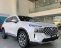 Hyundai Santa Fe 2023 - Hyundai Santa Fe 2023 tại Tp.HCM