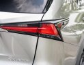 Lexus NX 300 2020 - Cần bán xe odo 1,9 vạn km