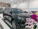 Toyota Land Cruiser Prado 2018 - Toyota Land Cruiser Prado 2018 tại Quảng Ninh