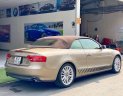 Audi A5 2010 - Nhập Đức