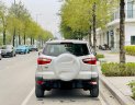 Ford EcoSport 2017 - Màu bạc cực đẹp