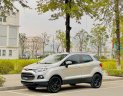 Ford EcoSport 2017 - Màu bạc cực đẹp