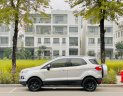 Ford EcoSport 2017 - Màu bạc cực đẹp