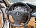 BMW 520i 2014 - Tư nhân sử dụng giữ gìn
