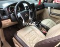 Chevrolet Captiva  maxx 2010 màu khoai môn 2010 - captiva maxx 2010 màu khoai môn