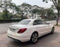 Mercedes-Benz C 250 2016 - Màu trắng