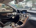 Mercedes-Benz C 250 2016 - Màu trắng