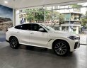 BMW X6 2023 - Ưu đãi tiền mặt tháng 3, quà tặng cùng phụ kiện full