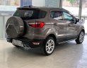 Ford EcoSport 2018 - Xe cực keng, biển Sài Gòn