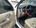 Ford Escape 2004 - Giá 132tr