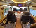 Ford Transit Solati limousine 2020 - Solati limousine