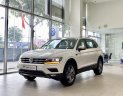 Volkswagen Tiguan 2022 - Ưu đãi cực hấp dẫn - Giảm phí trước bạ - Tặng phụ kiện