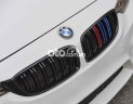 BMW 420i xe  420i - Hai cửa -  - 2016 2016 - xe BMW 420i - Hai cửa - Mui trần - 2016