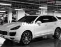 Porsche Cayenne  Cayene Platium full option từ hãng 2017 - Porsche Cayene Platium full option từ hãng