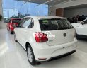 Volkswagen Polo   Hatchback Trắng/Đen Tặng 100% TB 2022 - Volkswagen Polo Hatchback Trắng/Đen Tặng 100% TB