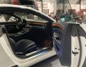 Bentley Continental 2018 - GT siêu lướt cực hiếm
