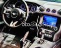 Ford Mustang   Premium Fastback 2021. lướt 3700miles 2021 - Ford Mustang Premium Fastback 2021. lướt 3700miles