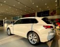 Volkswagen Toquareg Luxury 2023 - màu trắng sang trọng, đẹp mắt, đầy option cho khách hàng đẳng cấp, giảm ngay 225tr cho khách mua xe tháng nà