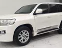 Toyota Land Cruiser 4.6 V8 2020 - Cần bán Toyota Land Cruiser 4.6 V8 đời 2020, màu trắng, nhập khẩu chính hãng