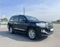 Toyota Land Cruiser VX 4.6 V8 2019 - Cần bán Toyota Land Cruiser VX 4.6 V8 đời 2019, màu đen, nhập khẩu nguyên chiếc