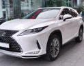 Lexus RX 300 2021 - Cần bán Lexus RX 300 đời 2021, màu nâu, nhập khẩu chính hãng, giá cả thương lượng