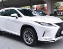 Lexus RX 300 2021 - Cần bán Lexus RX 300 đời 2021, màu nâu, nhập khẩu chính hãng, giá cả thương lượng