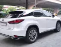 Lexus RX 300 2021 - Cần bán Lexus RX 300 đời 2021, màu nâu, nhập khẩu chính hãng, giá cả thương lượng