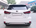 Lexus RX 300 2021 - Cần bán Lexus RX 300 đời 2021, màu nâu, nhập khẩu chính hãng, giá cả thương lượng