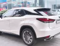 Lexus RX 300 2021 - Cần bán Lexus RX 300 đời 2021, màu nâu, nhập khẩu chính hãng, giá cả thương lượng