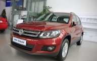 Volkswagen Volkswagen khác 2015 2015 - Giá xe Volkswagen Tháng 10 tại Việt Nam giá 1 tỷ 350 tr tại Tp.HCM